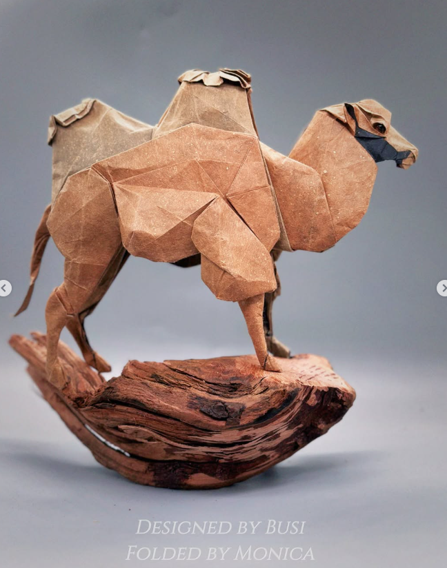 Camel