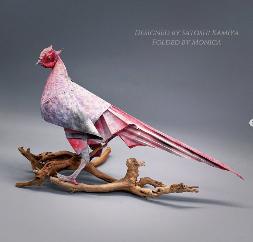 Pheasant