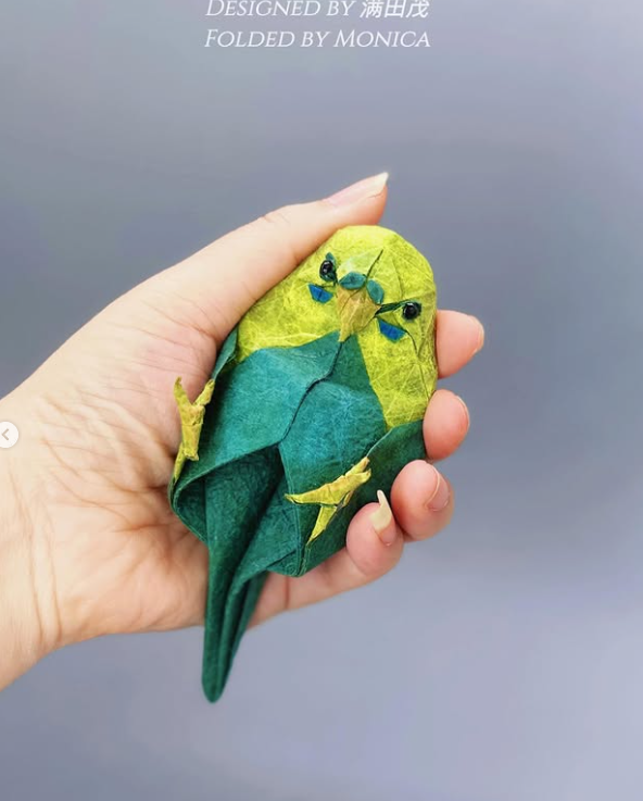 Budgie