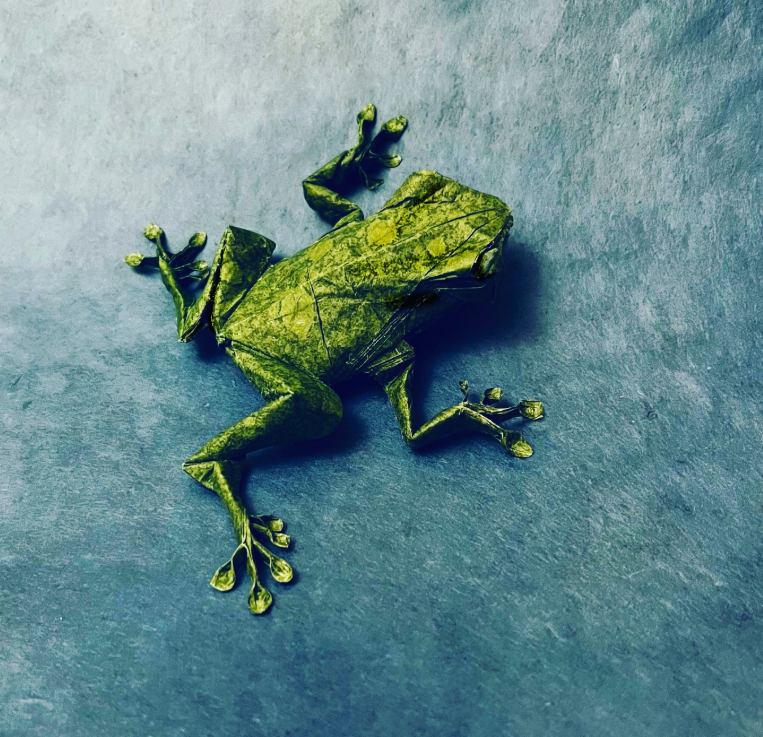 Tree Frog