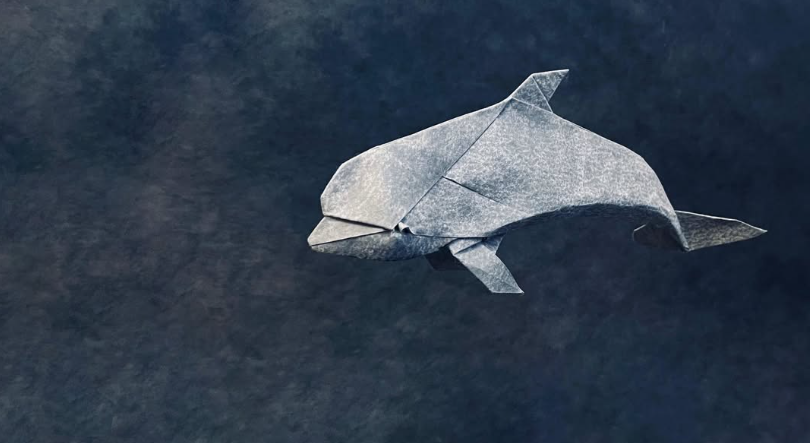 Dolphin