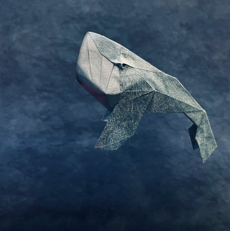 Whale