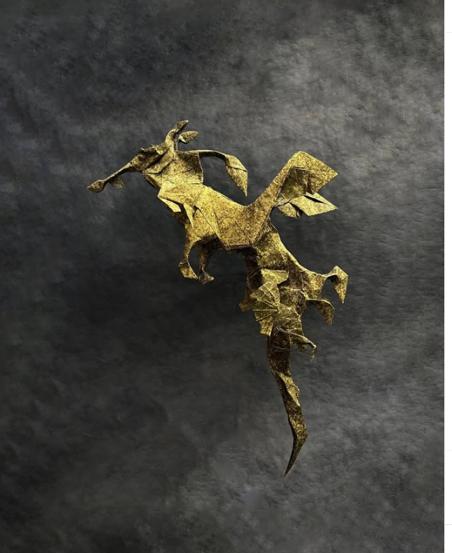 Leafy Sea Dragon