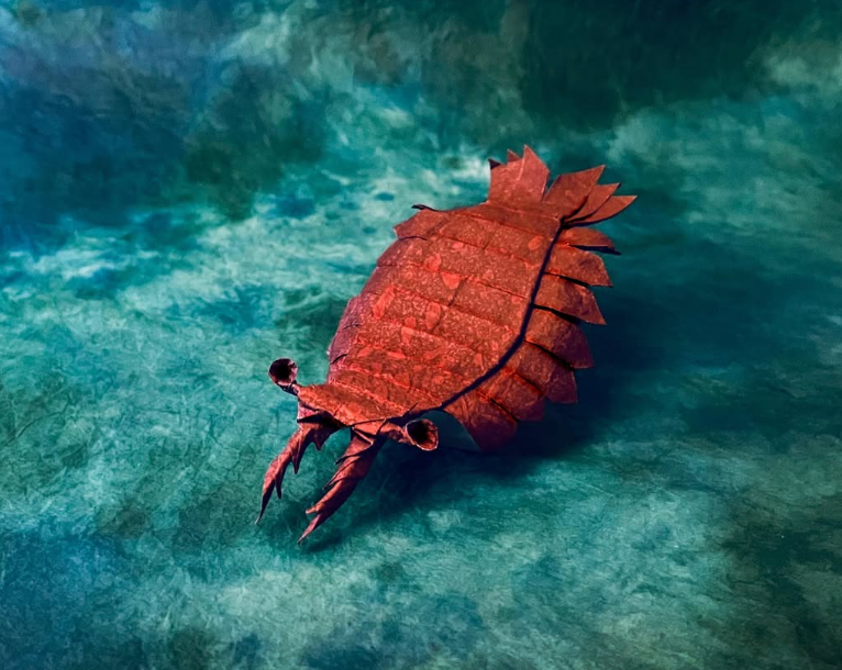 Anomalocaris