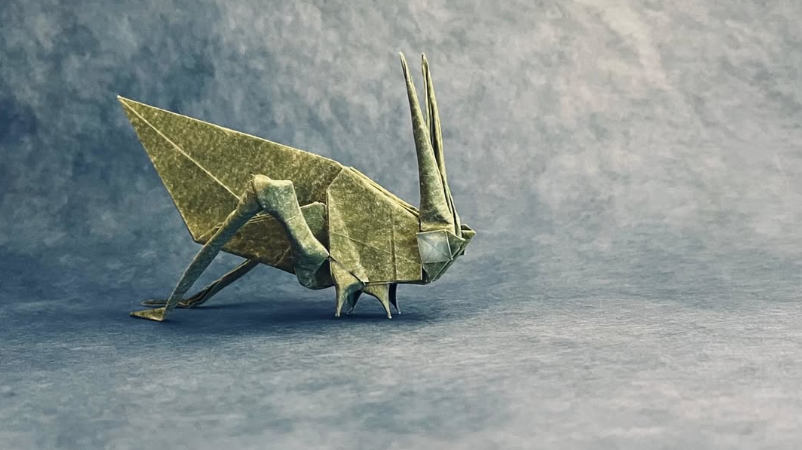Katydid