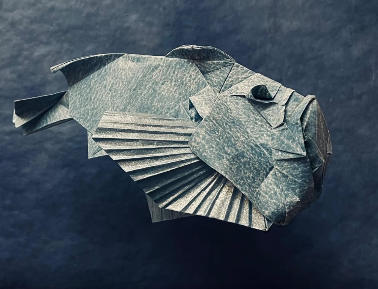 Stonefish
