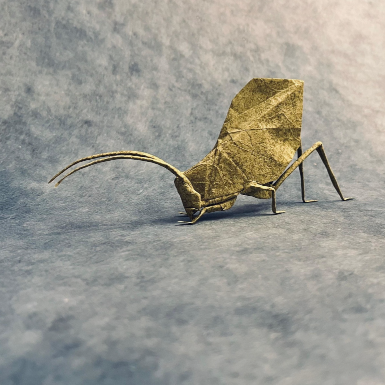 Leaf Katydid