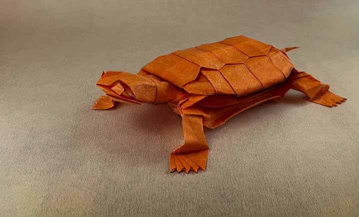Turtle