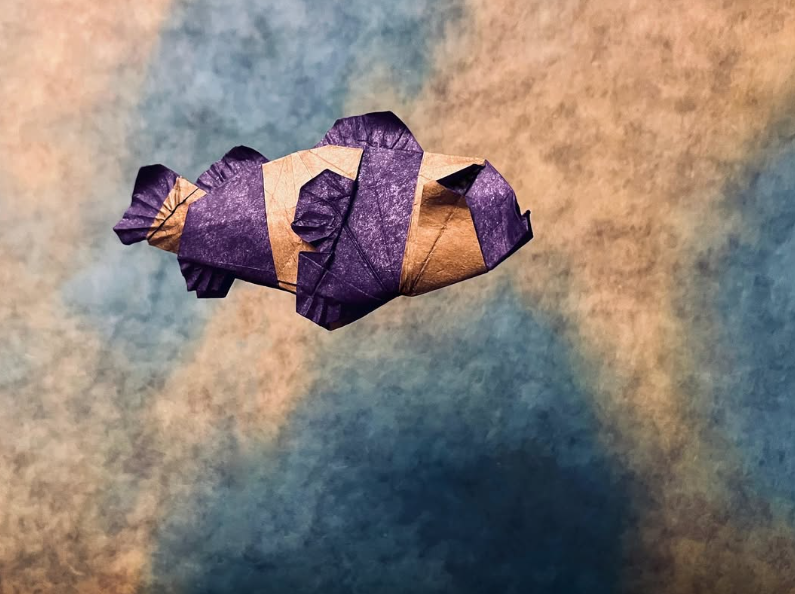 Clownfish