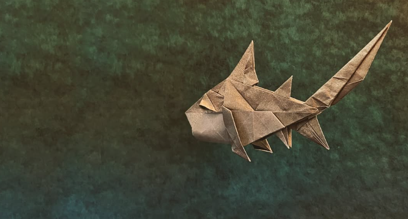Shark