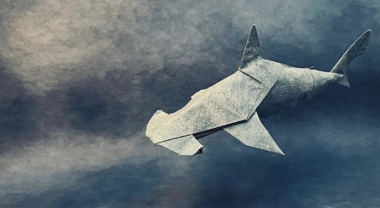Hammerhead Shark