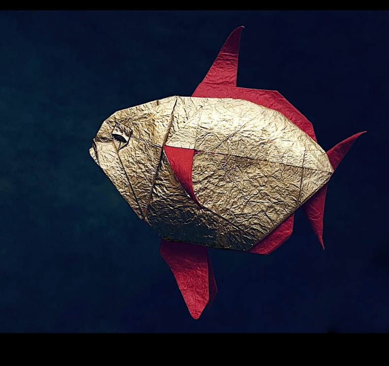 Golden Opah