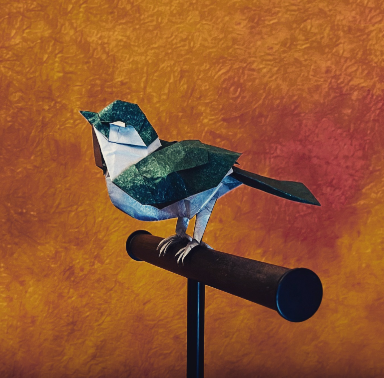 Sparrow
