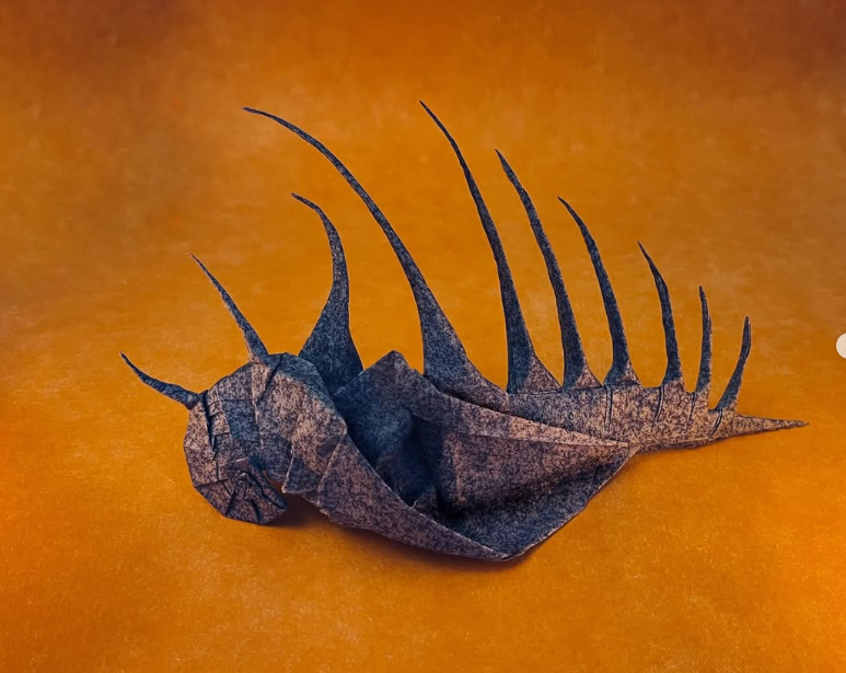 Venus Comb Shell