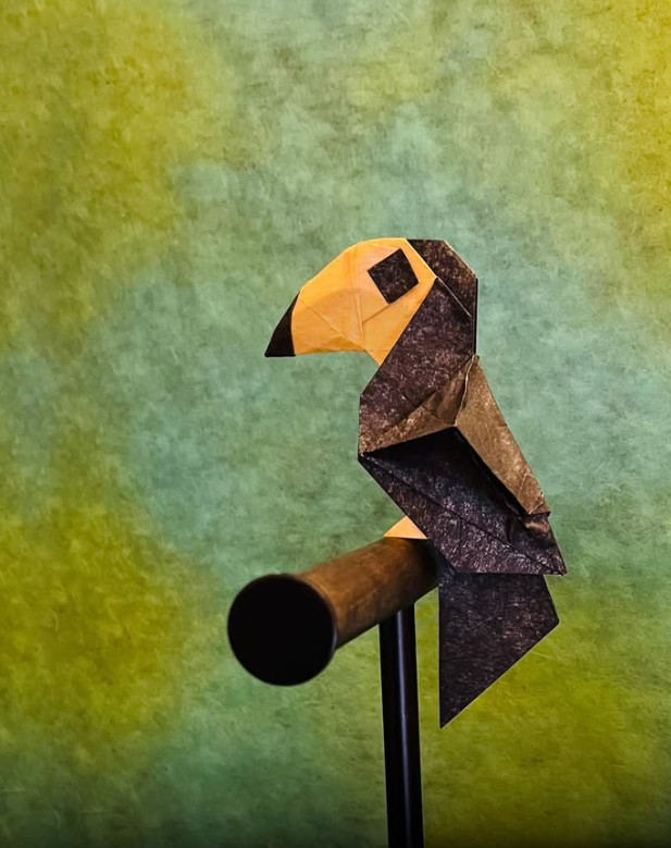 Toucan