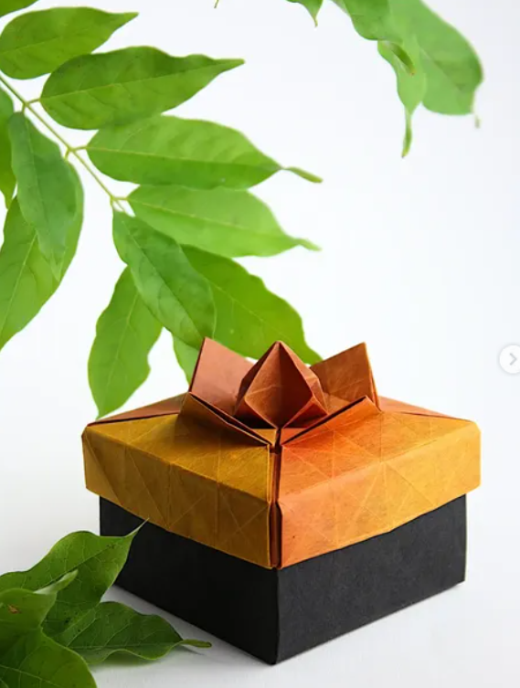 Fujimoto Box (v.2)