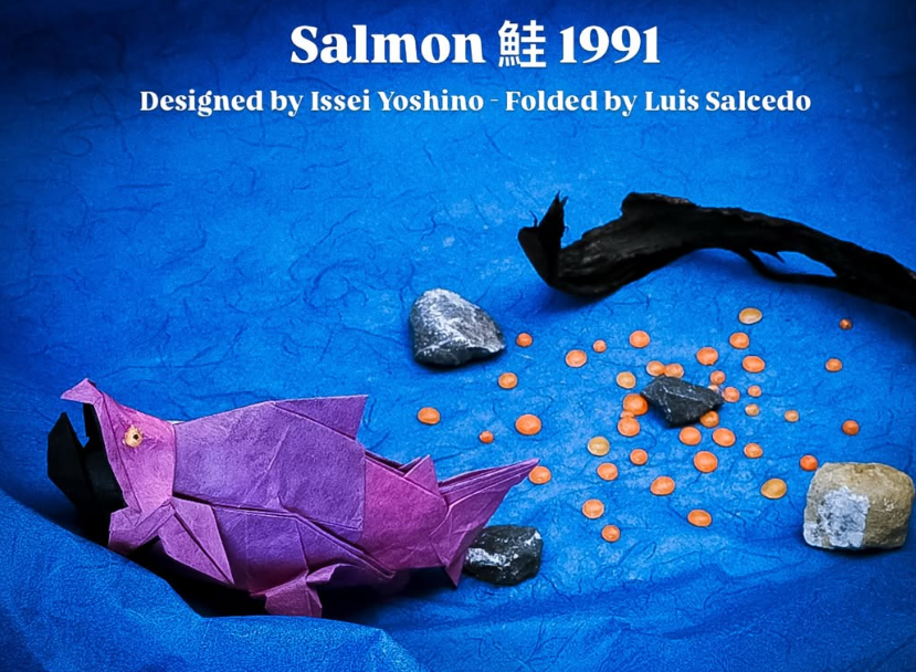 Salmon