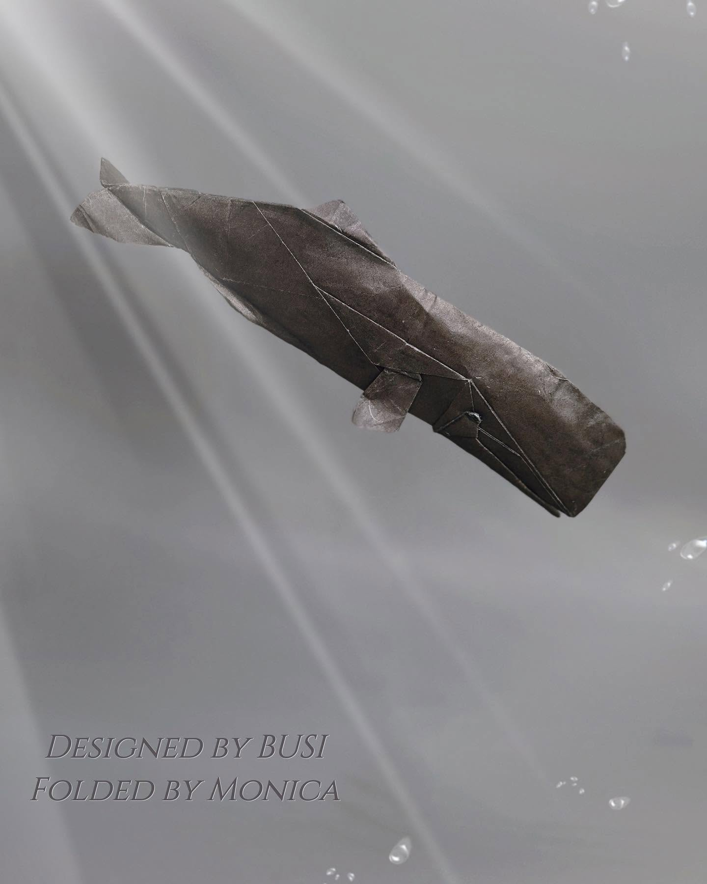 Sperm Whale