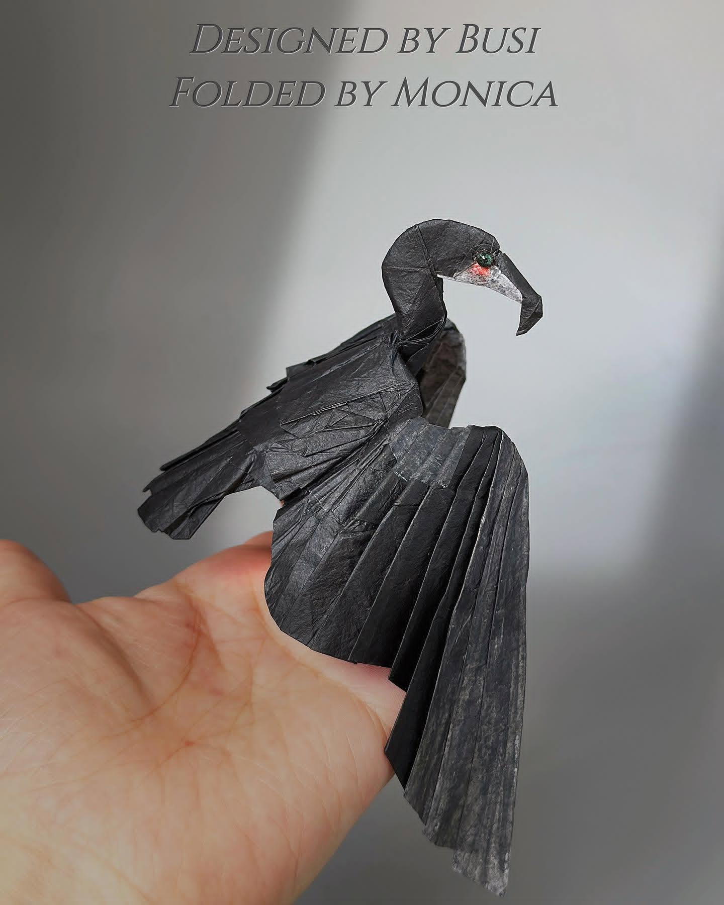 Cormorant