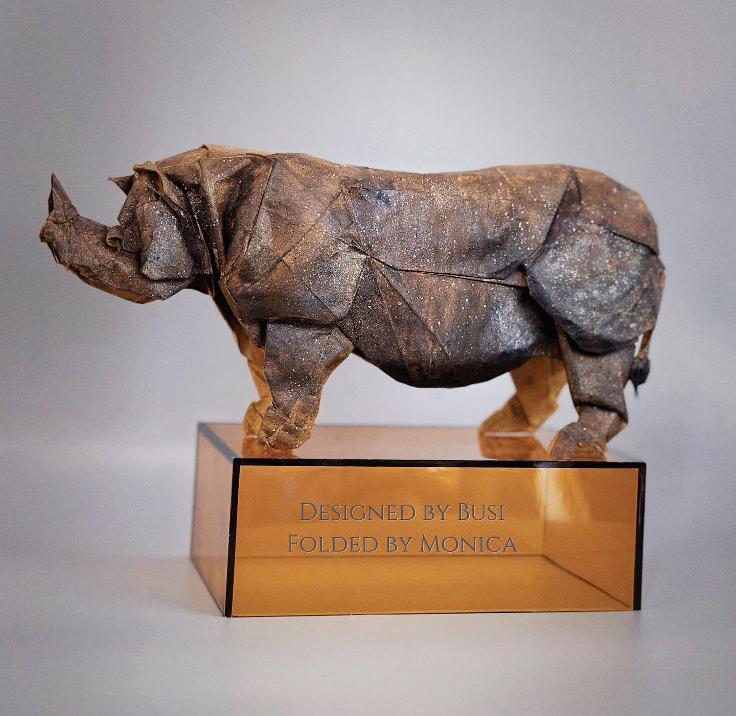 Indian Rhino