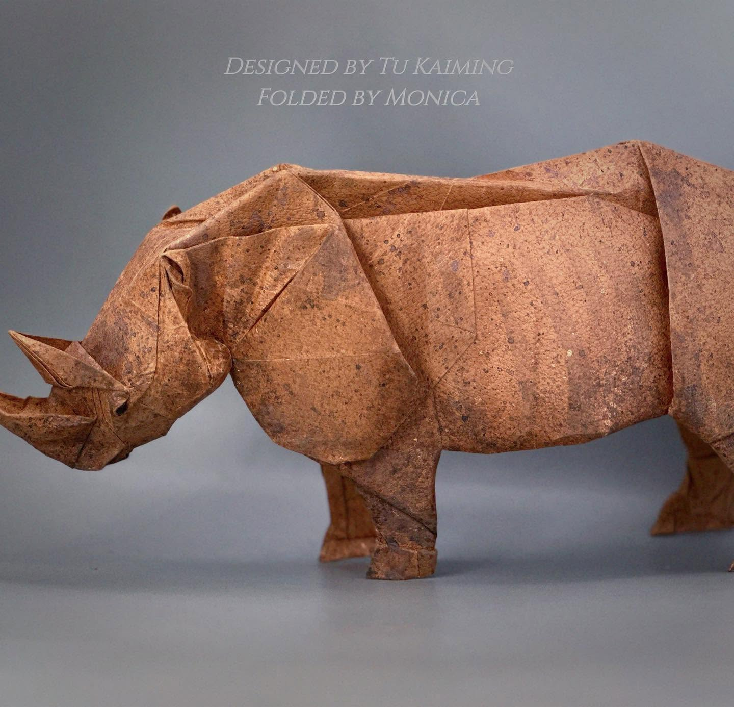 Rhino