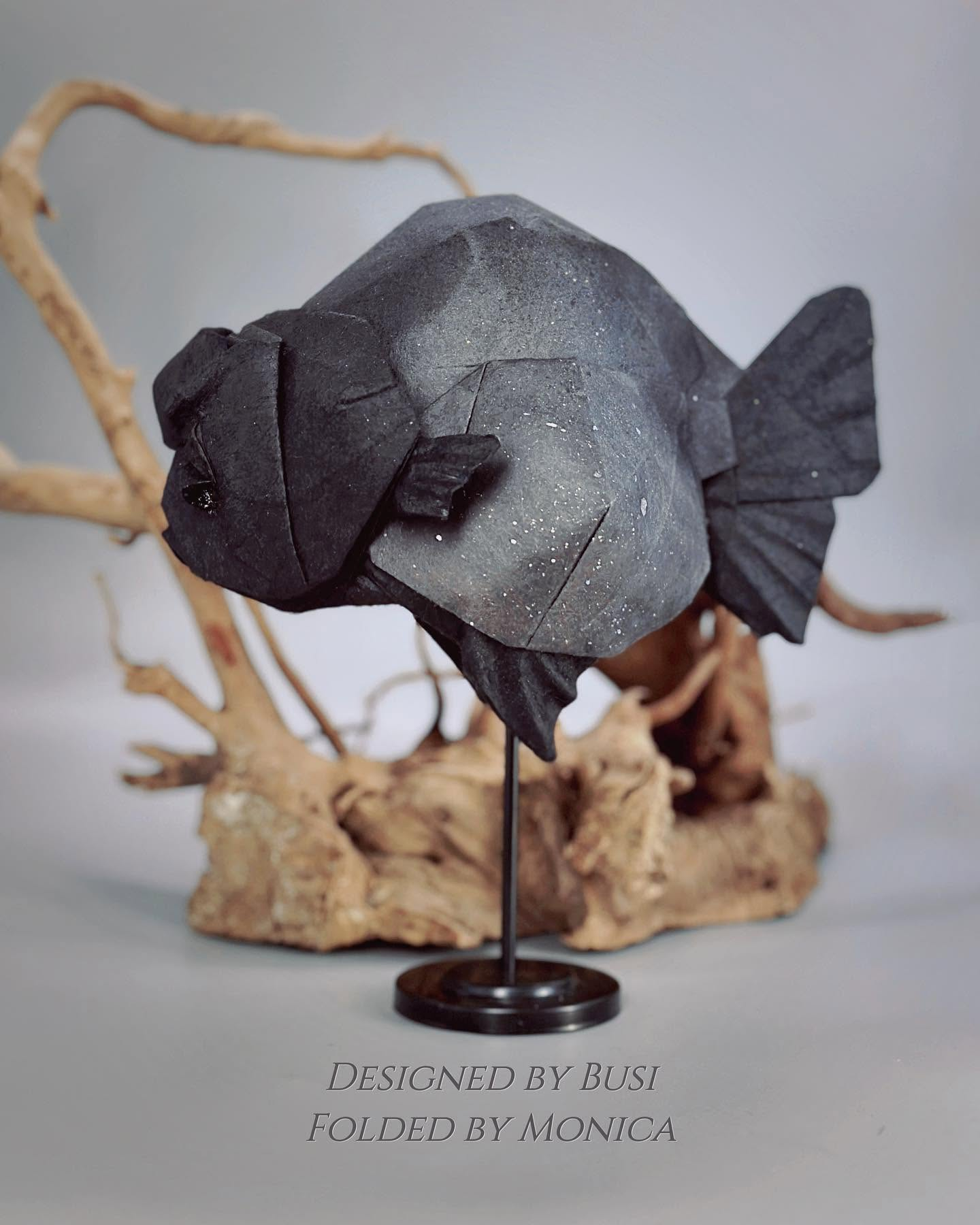 Ryukin goldfish