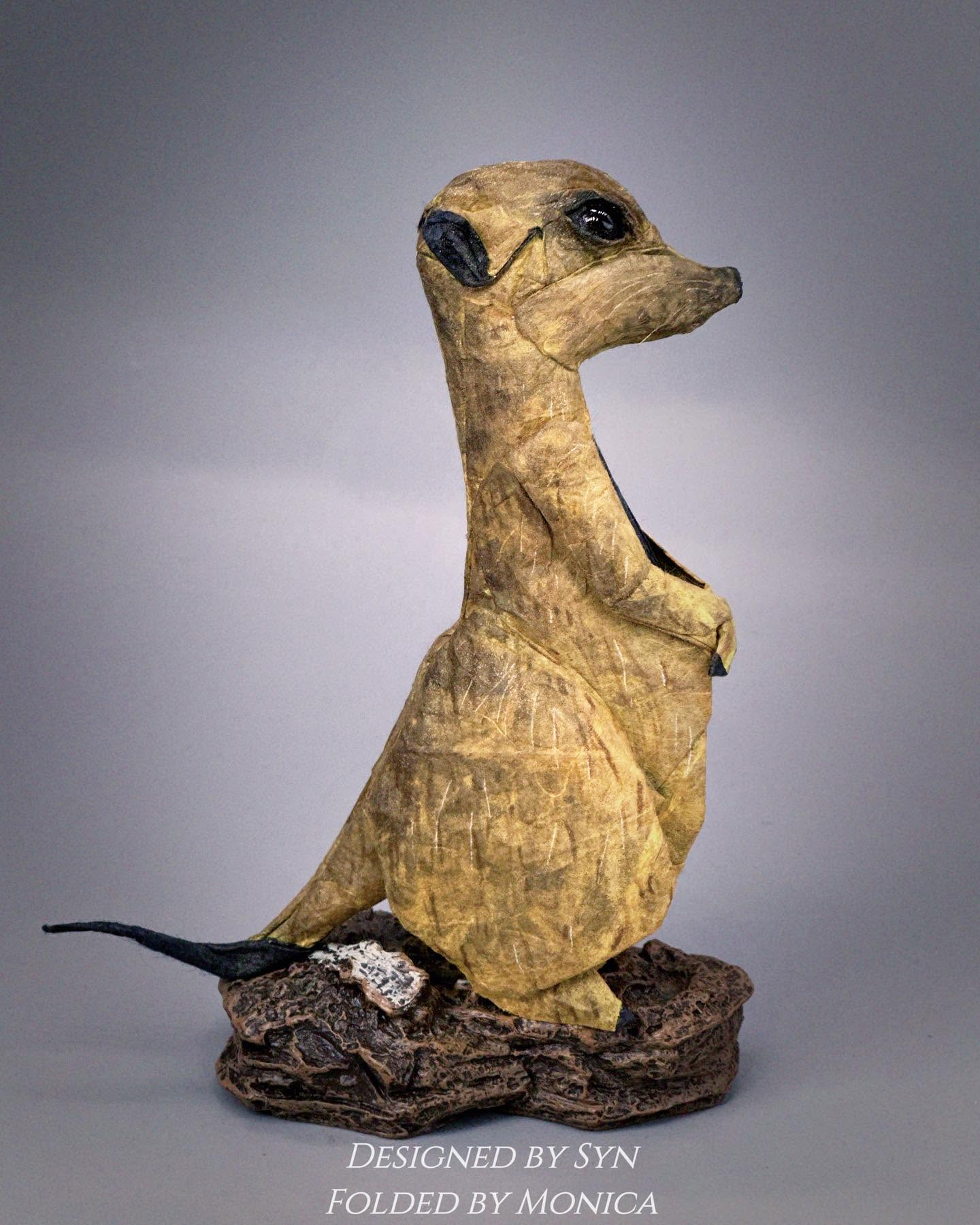 Meerkat