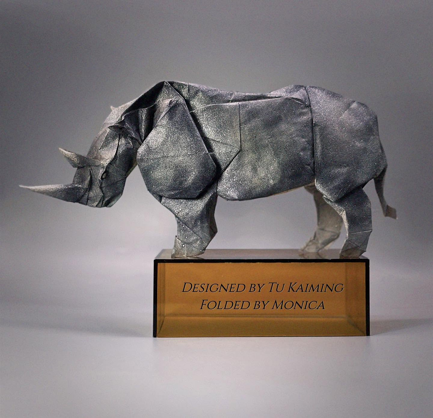 Rhino painted
