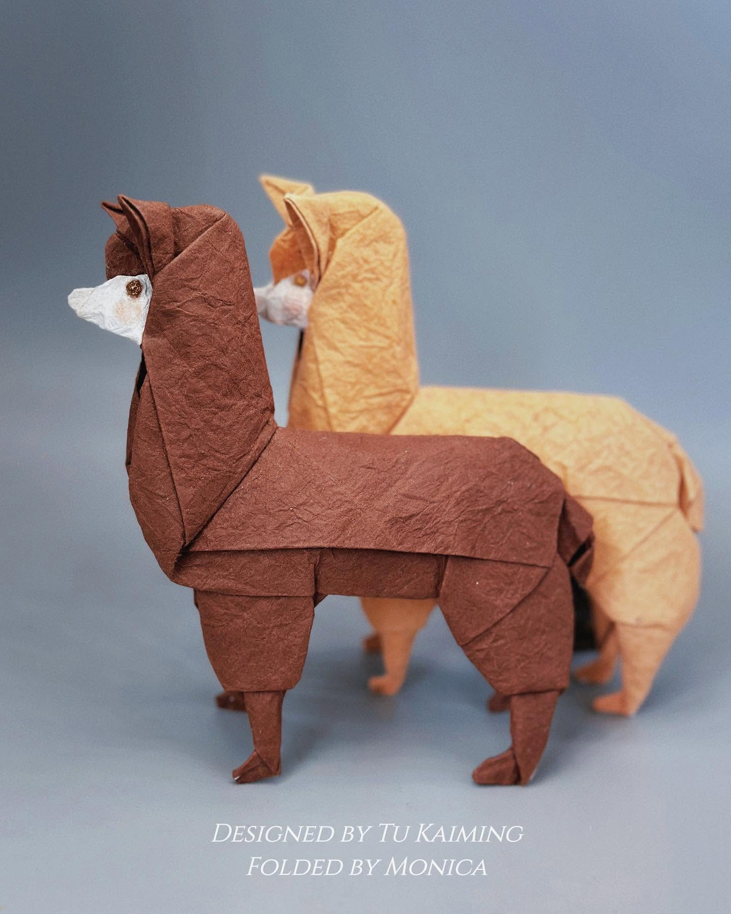 Lama