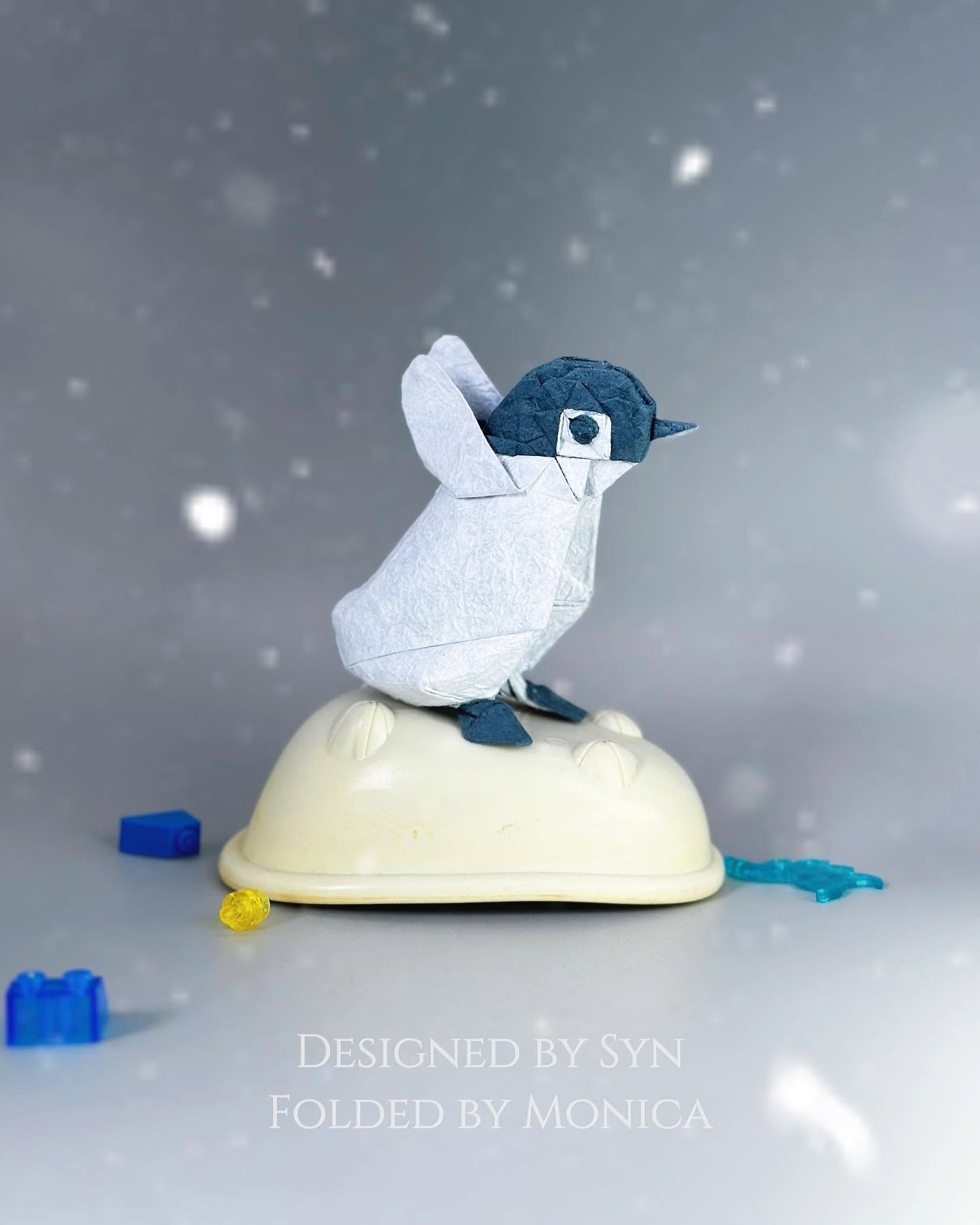 Baby Penguin