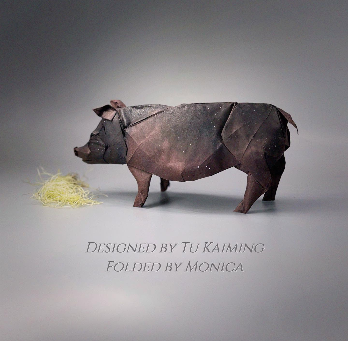 Pig