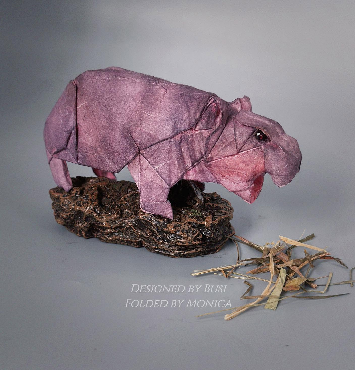 Pigmy Hippopotamus