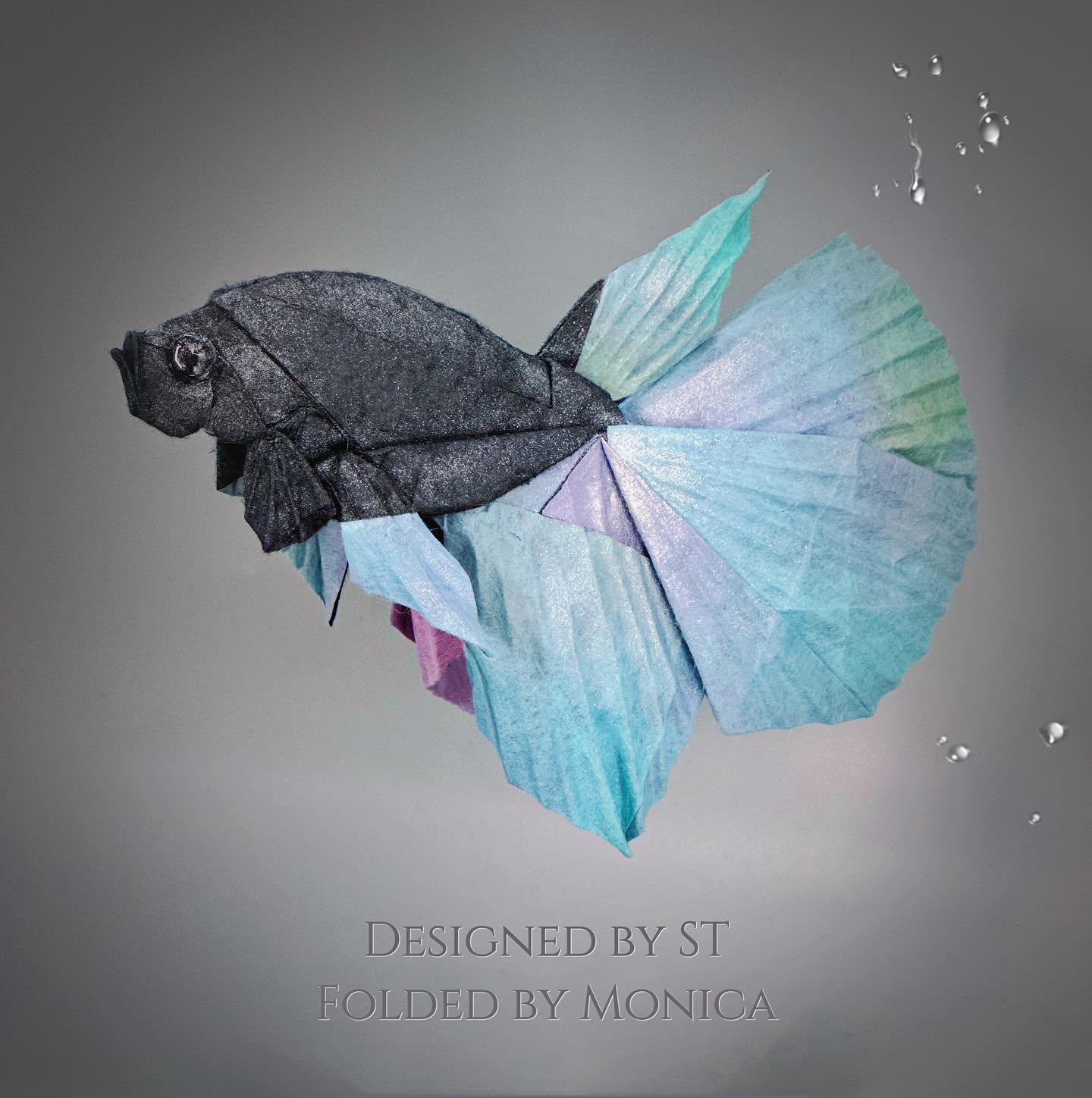 Betta
