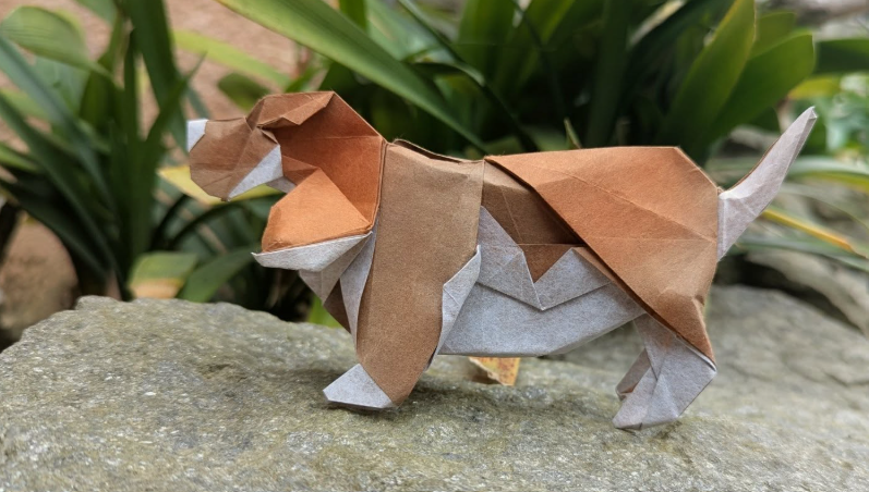 Basset Hound