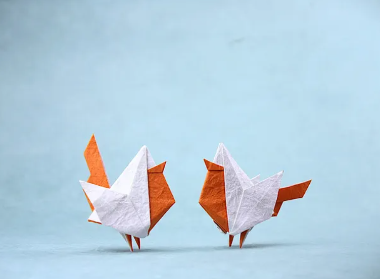 Geometric Birds
