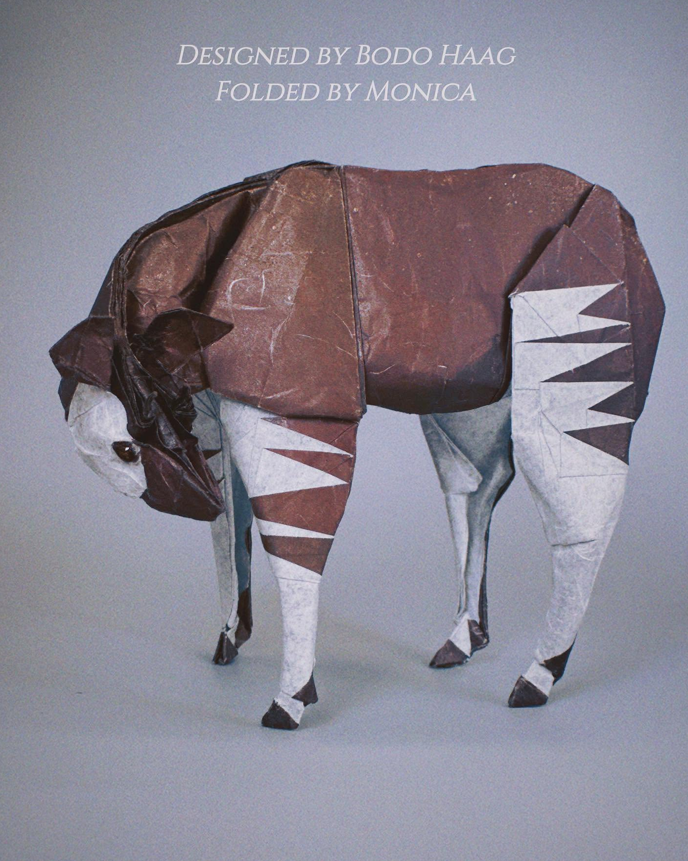 Okapi