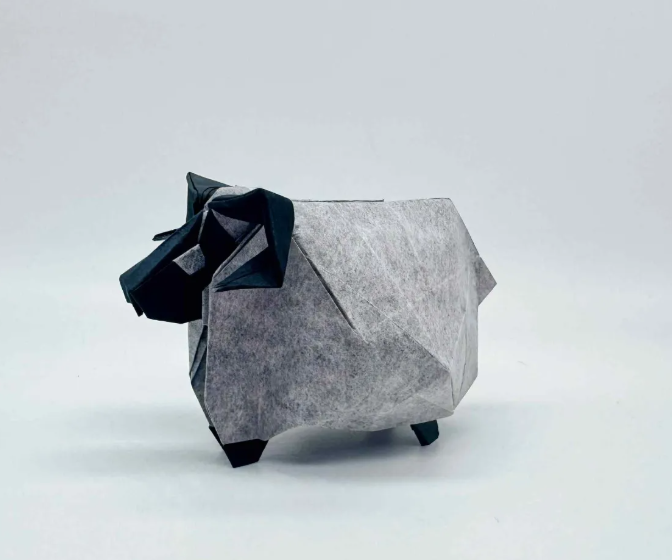 Sheep