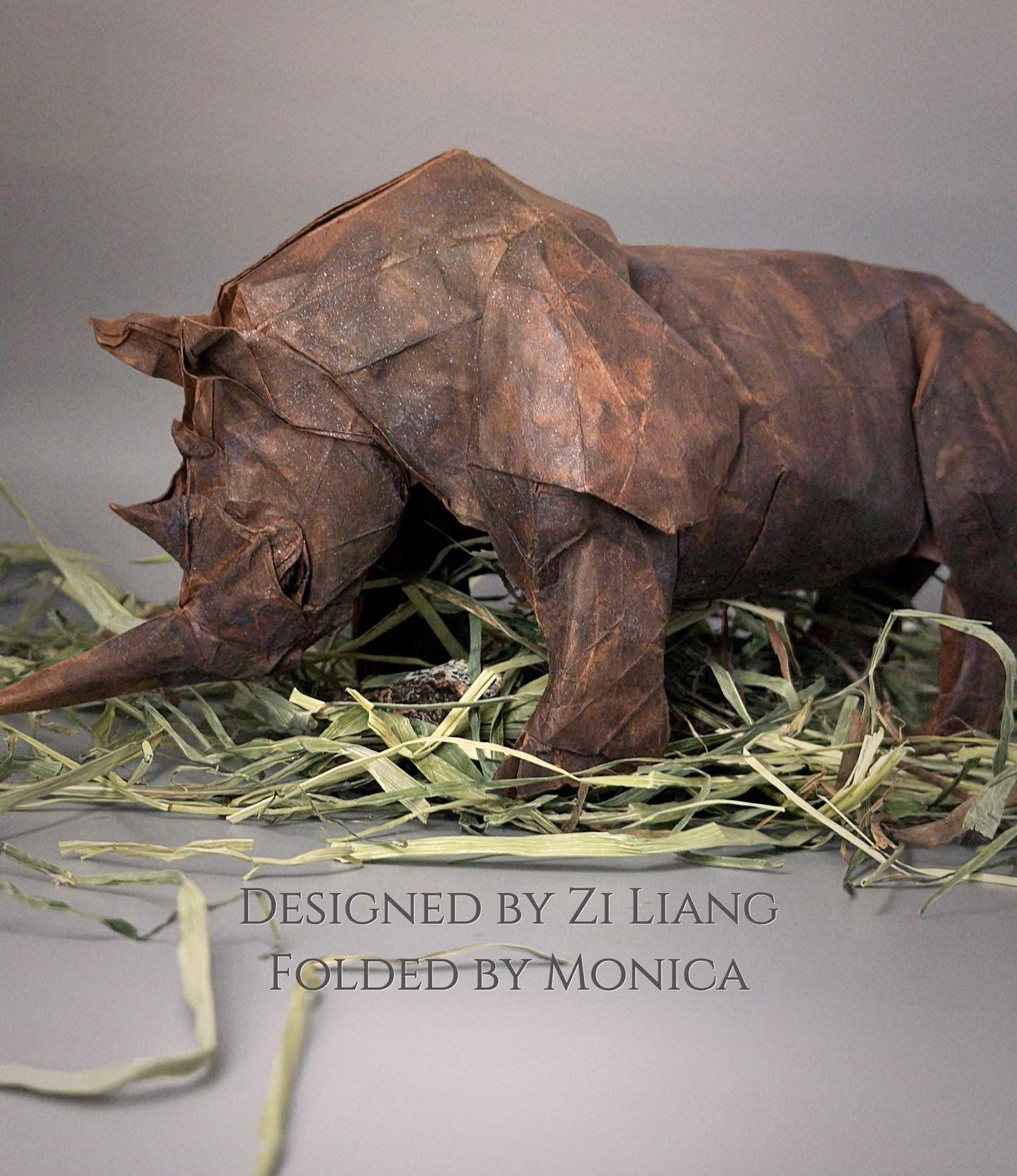 Black Rhino