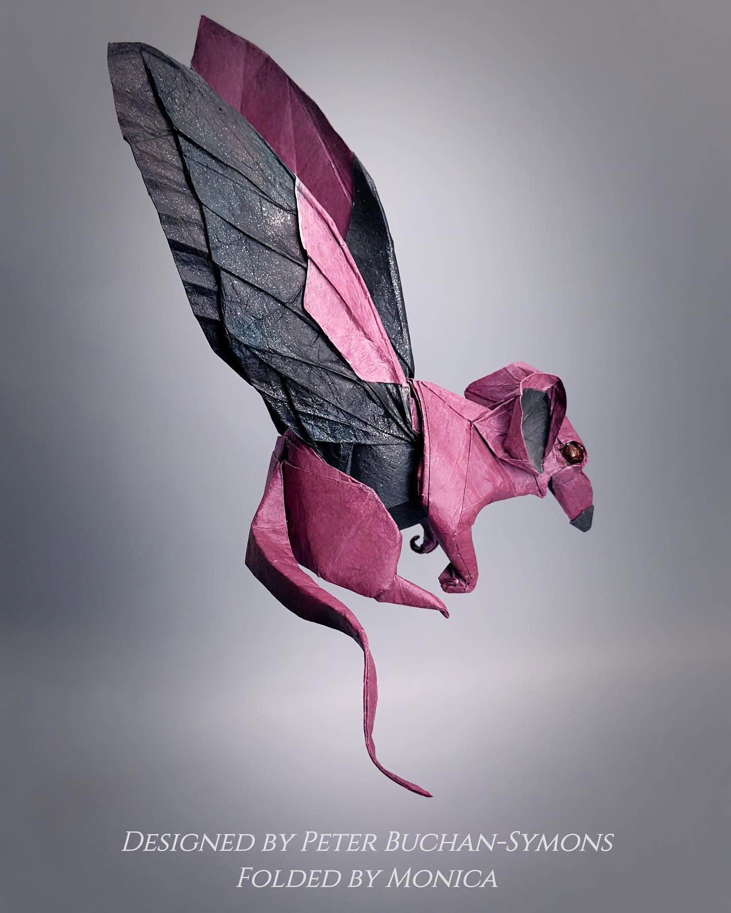 Winged Rat