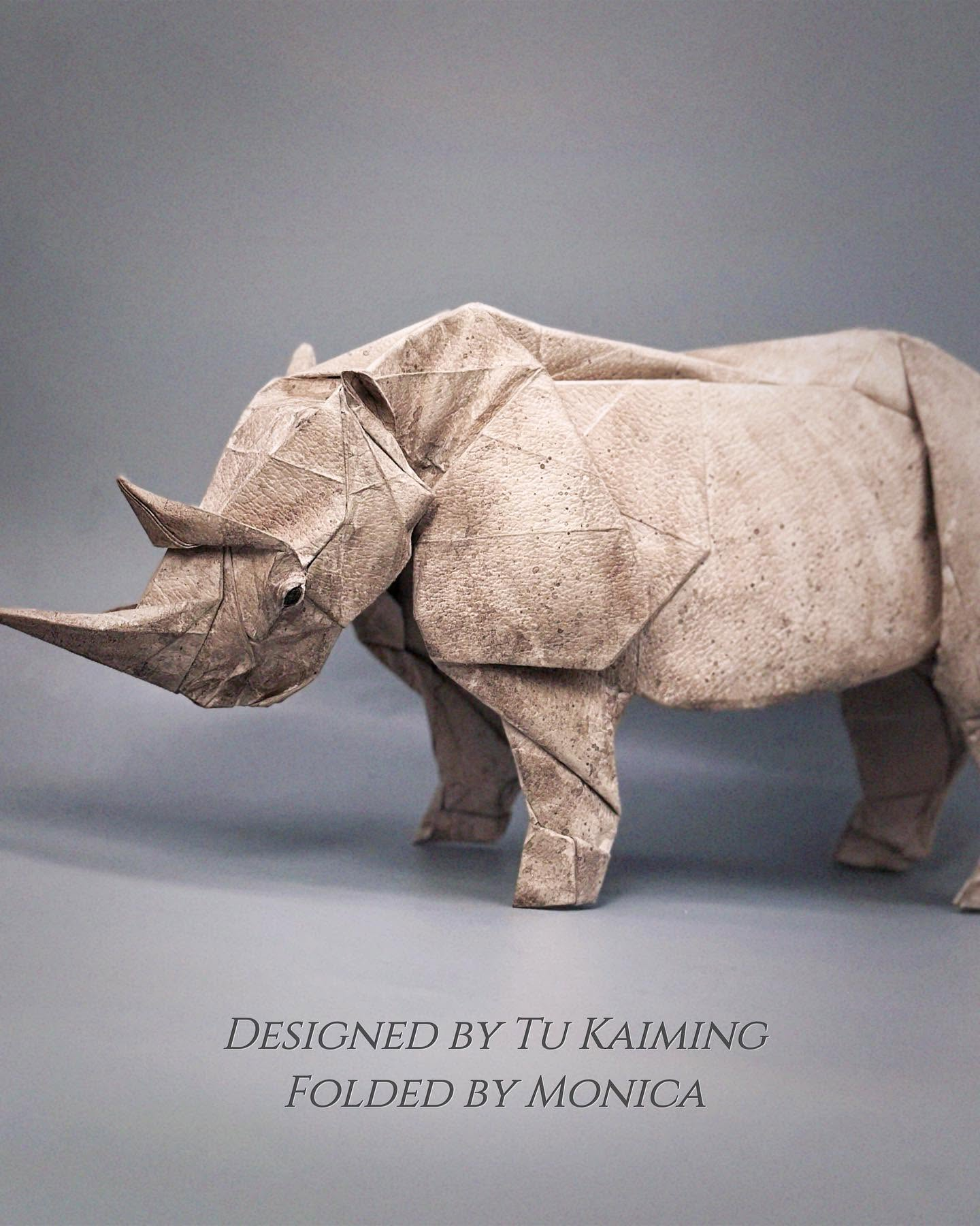 Rhino