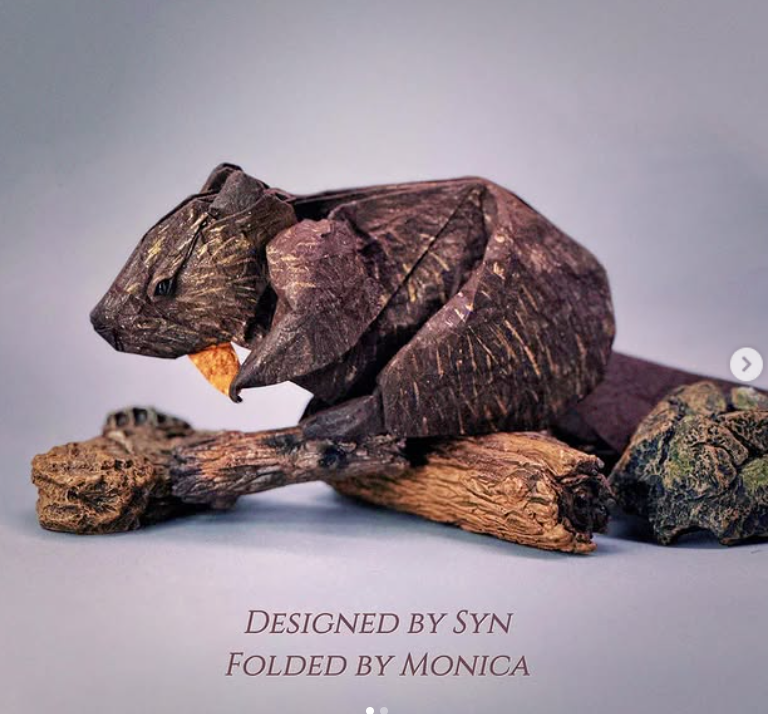 Beaver