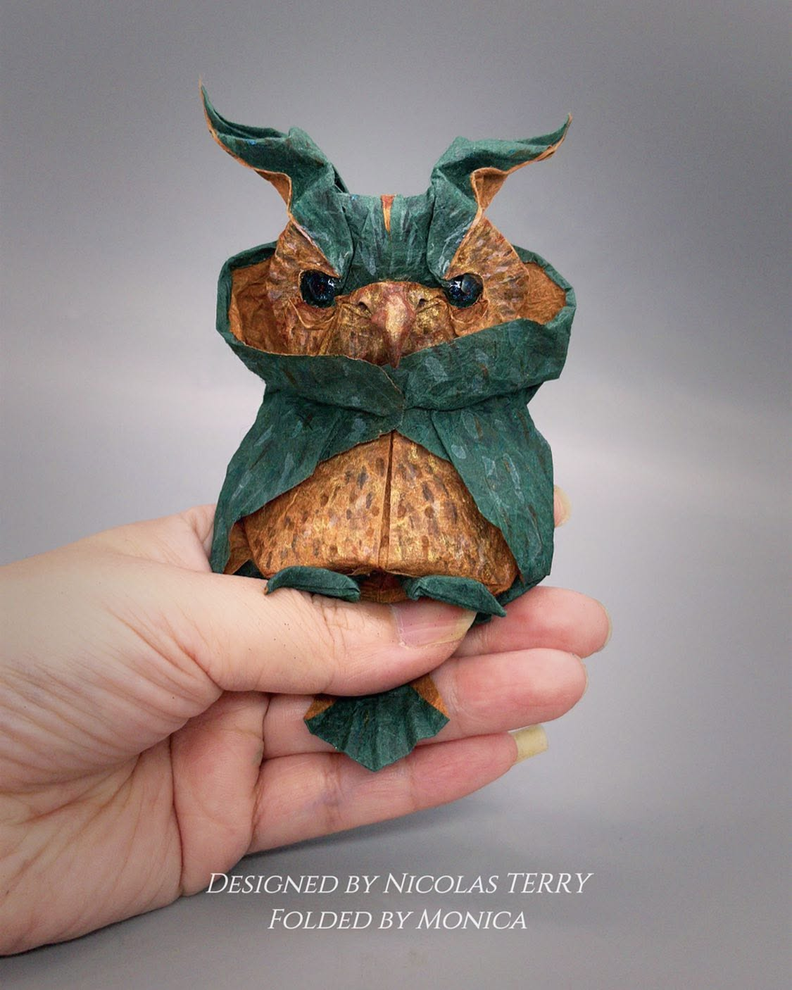 Wizard Owl