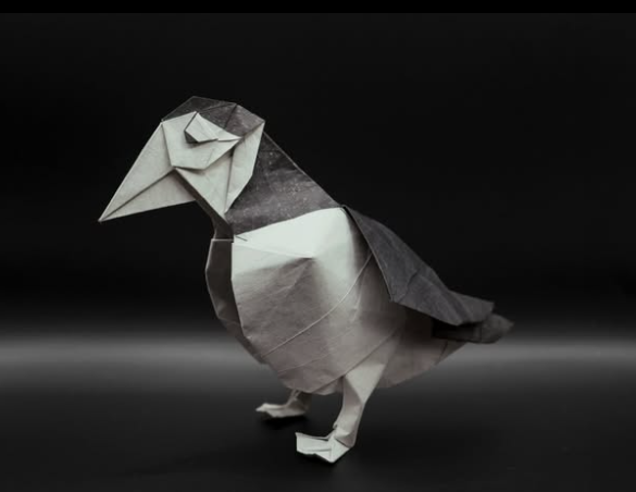 Puffin