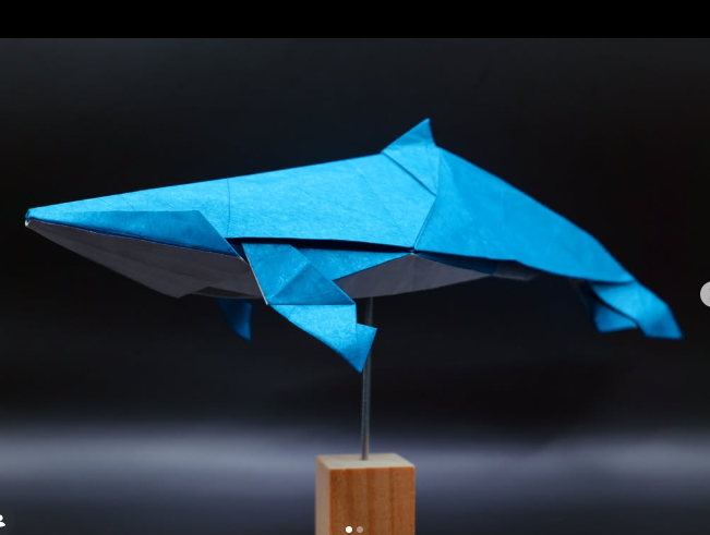 Humpback Whale