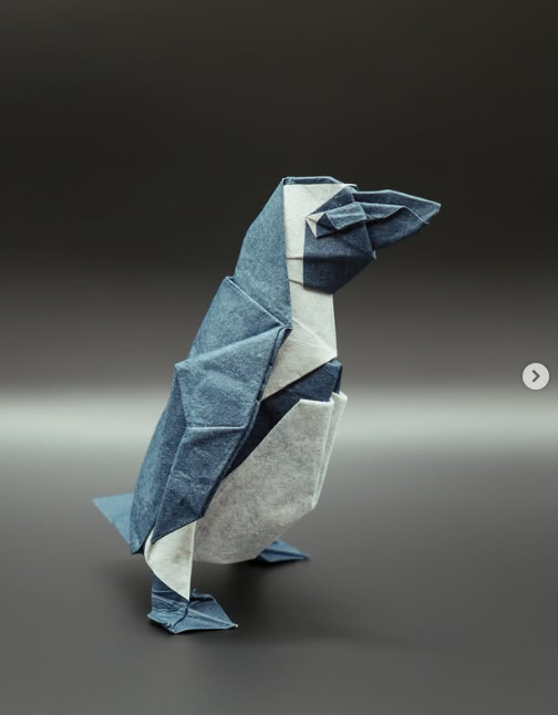 African Penguin