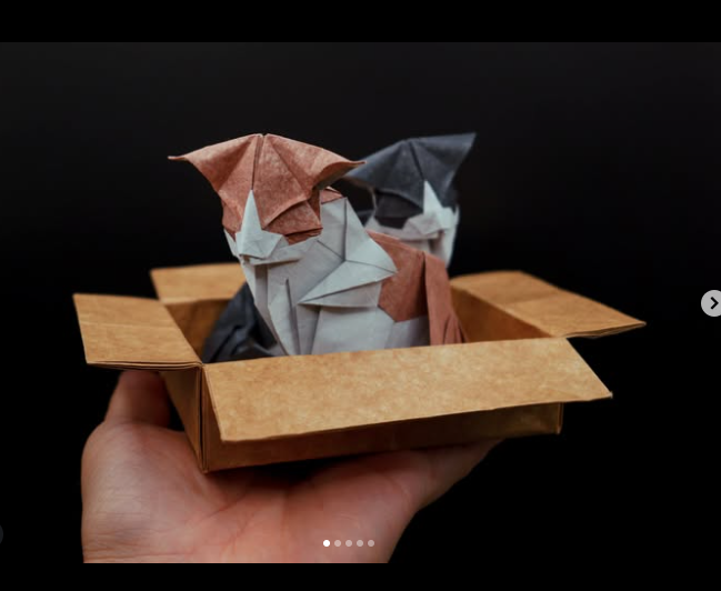 Cat & Box