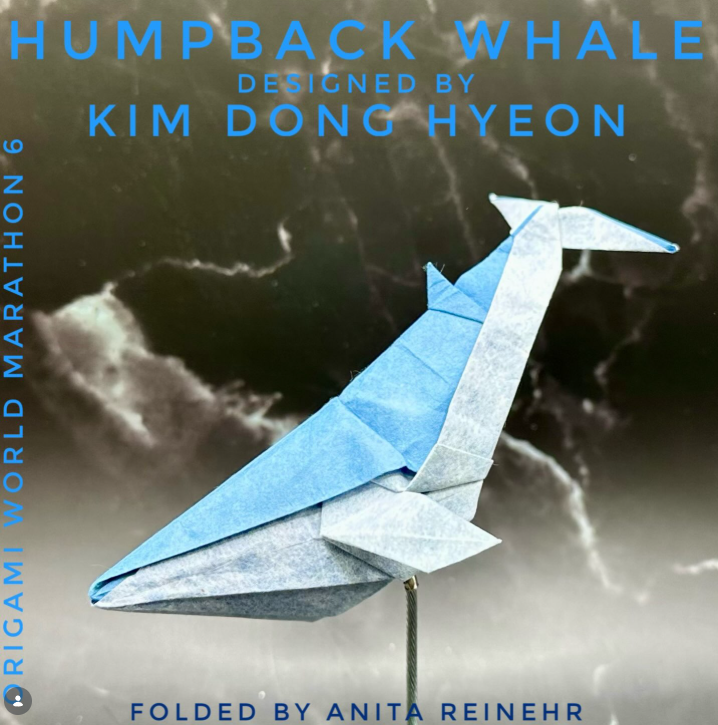 Humpback Whale