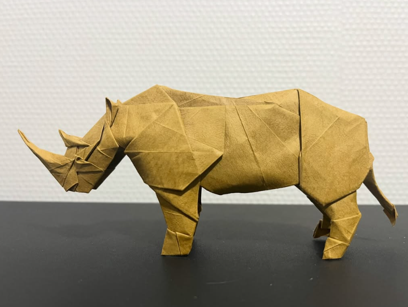 Rhino