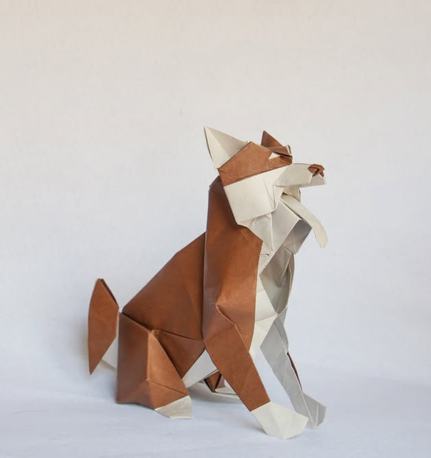 Shiba Inu