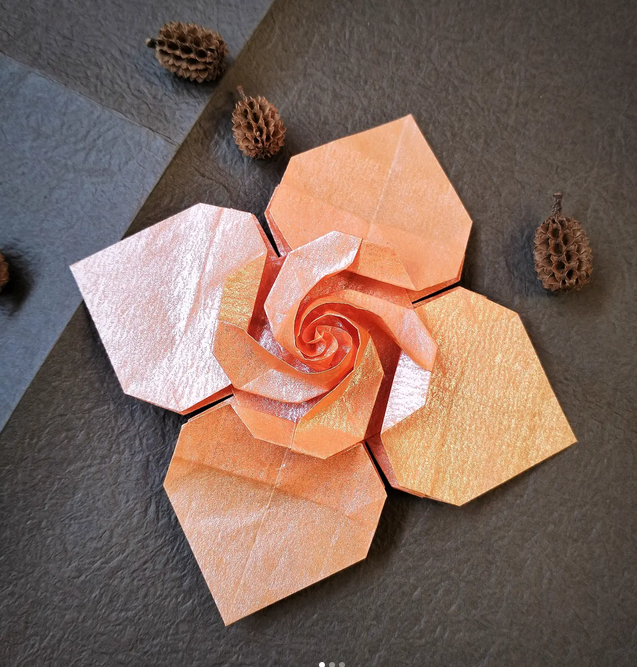 Rose and Leaves